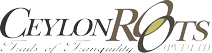 logo__6_-removebg-preview
