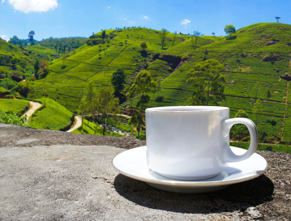 Sri,Lanka,Tea,Hills.,Tea,Cup,And,Plantation.