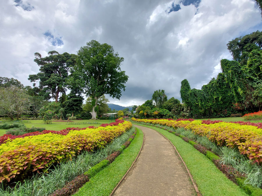 A-path-by-the-landscaped-lawns-with-colourful-fauna-at-the-Peradeniya-Botanical-Garden