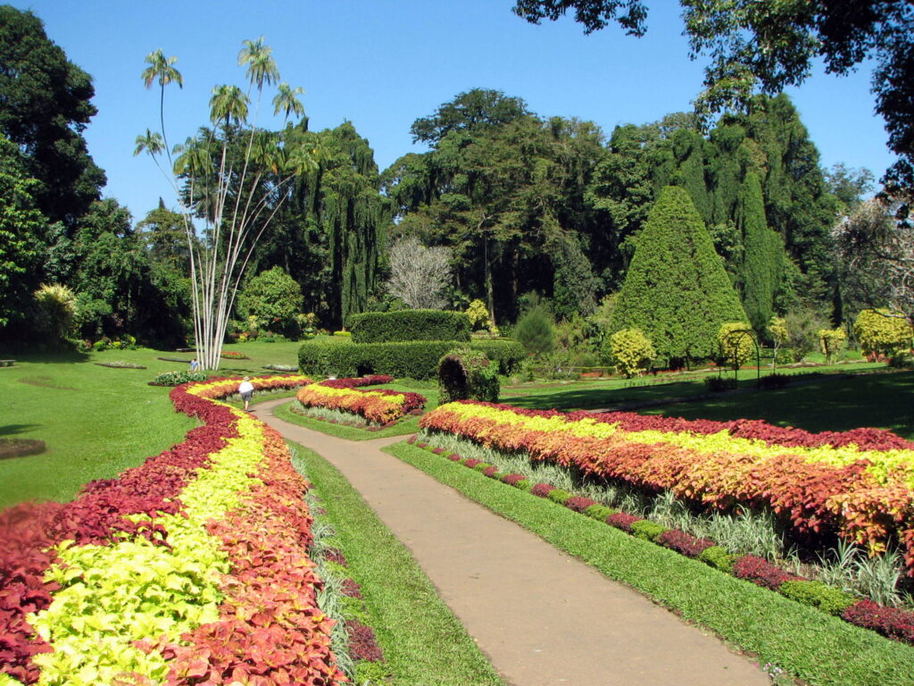 Botanical_Garden_of_Peradeniya_03