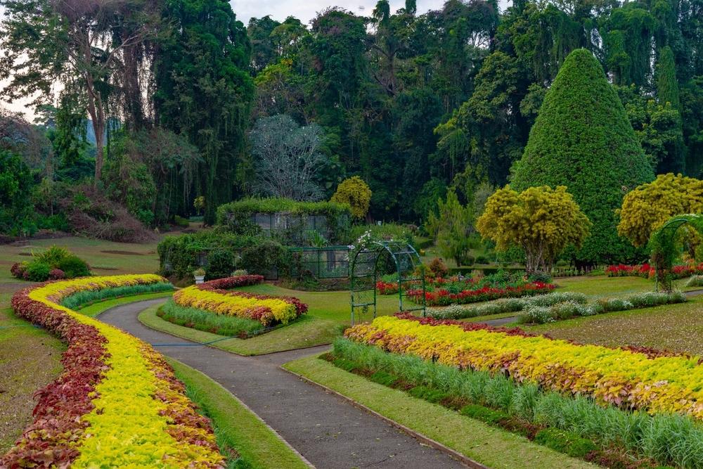 Royal,Botanical,Gardwen,In,Kandy,,Sri,Lanka.