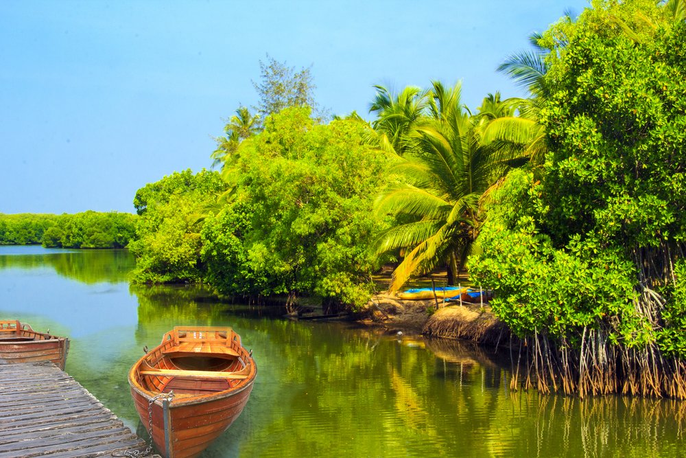 Beautiful,View,Of,Lake,Koggala,,Sri,Lanka,,On,A,Sunny,