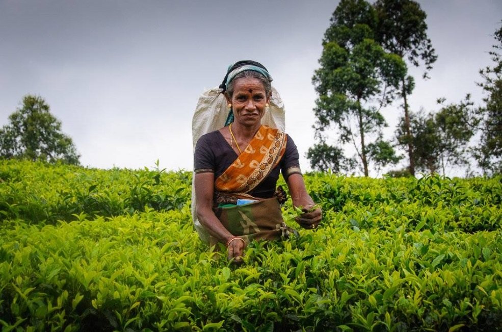 sri-lanka-1