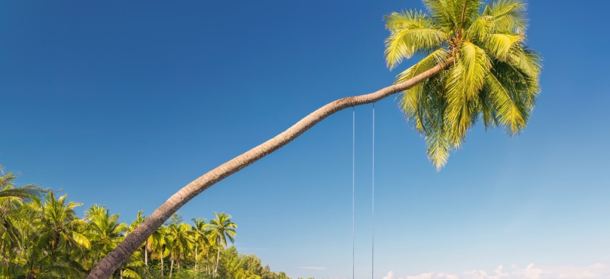 Coconut,Palms,On,Tangalle,Beach,,Sri,Lanka.