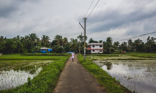 Man walking along a long road back to his home with rice fields