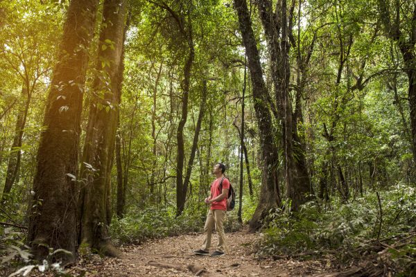 backpacker-admiring-forest