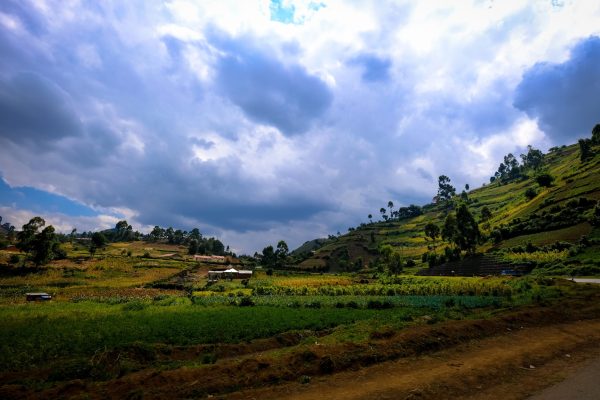 Grassy field with a building in the distance near a hill with trees and cloudy sky in background